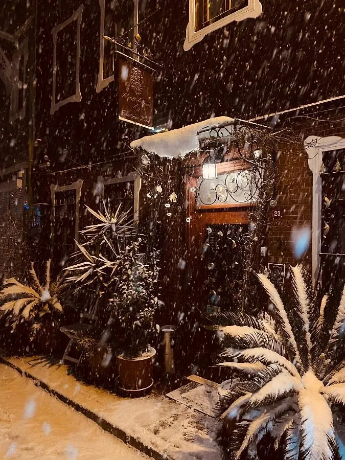 Gasthuis Ahmet Efendi Evi Hotel Istanboel